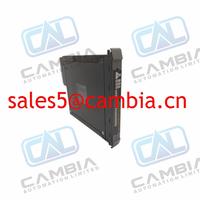 ICS TRIPLEX T8162 CS300 Bridge Module